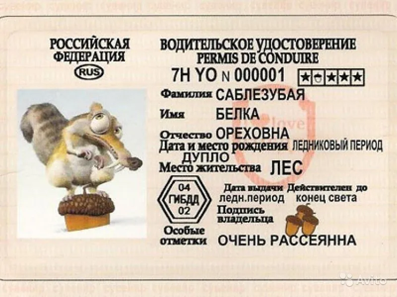С начала года сотрудники ГАИ выявили 84 факта подделки документов, в том числе о прохождении гостехосмотра